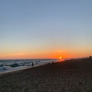 Meet your Posher, Francine